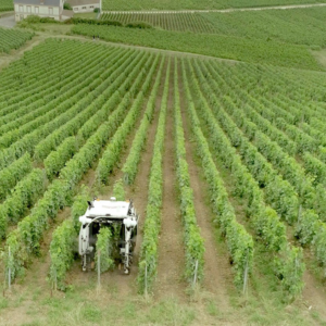Robot YANMAR