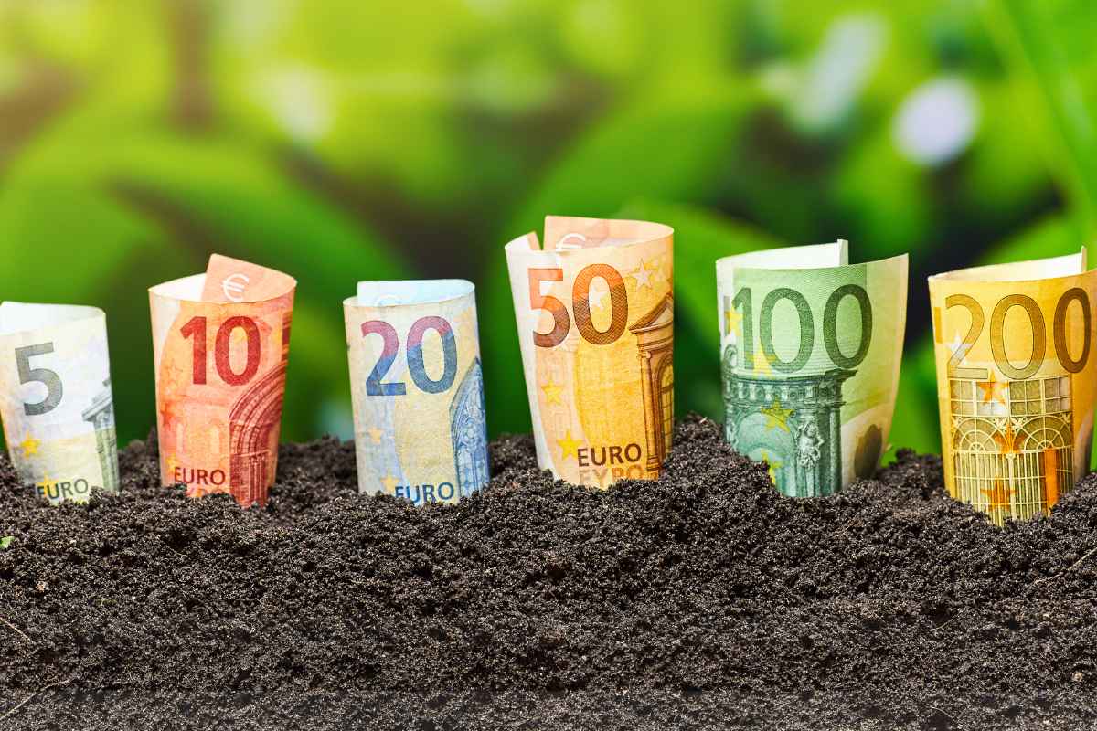 KPO: Rolnictwo 4.0 – nabór startuje