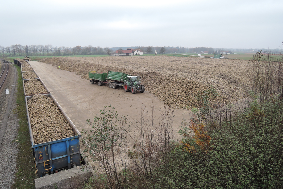 Wyzwania dla łańcuchów dostaw w sektorze agro