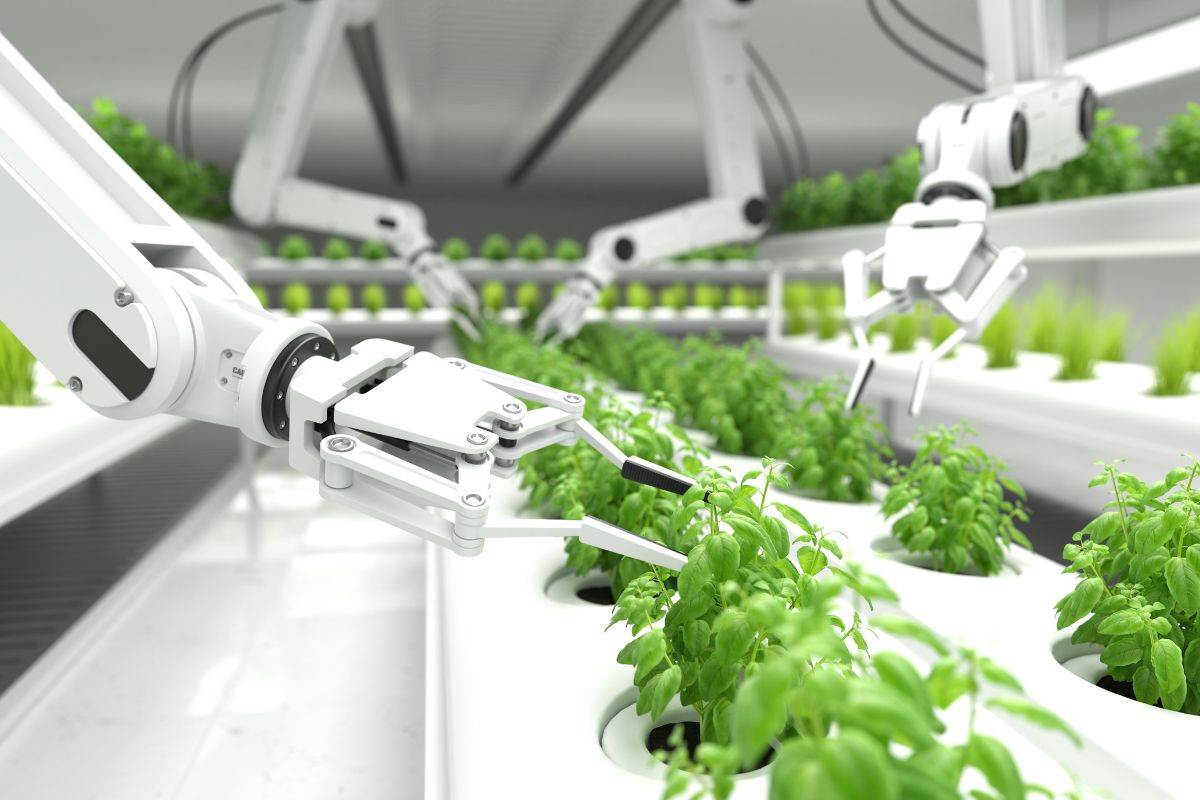Robotyka i automatyzacja – prognoza na 2024 rok