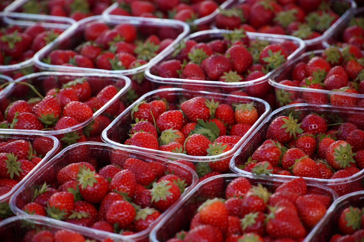 Trwa ocena wniosków w ramach wsparcia na przetwarzanie lub wprowadzanie do obrotu produktów rolnych