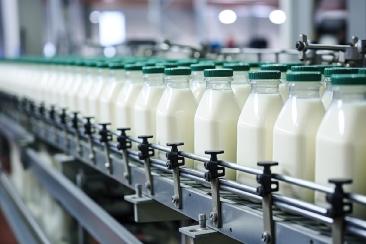System MES od Queris poprawia produktywność producentów żywności i FMCG