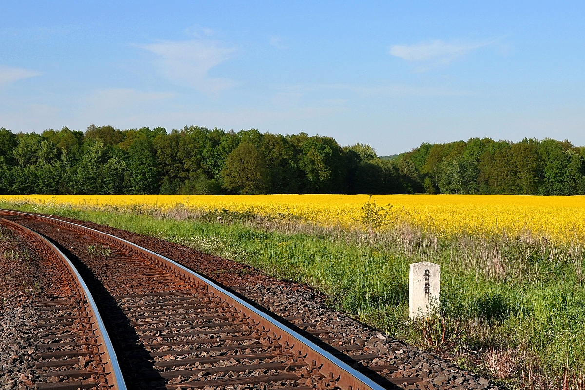 Polskie rolnictwo potrzebuje inwestycji infrastrukturalnych