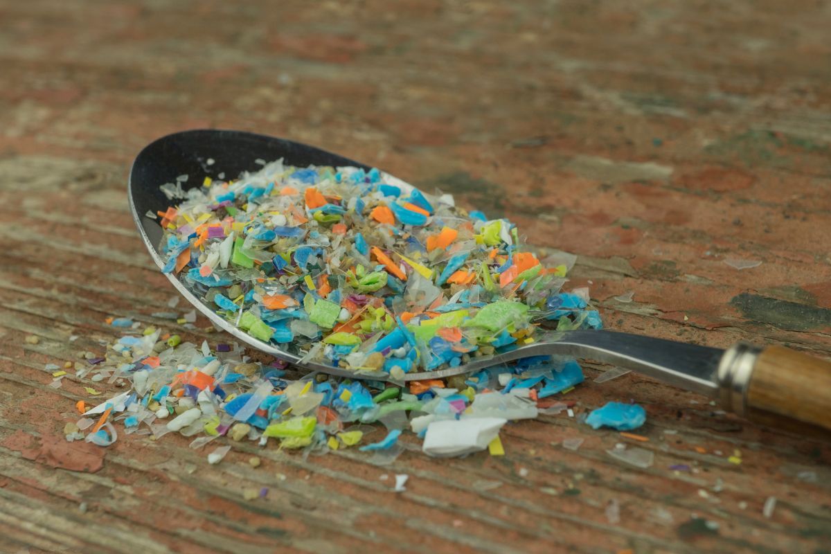 Czy mikroplastik zagrozi uprawom zbóż?