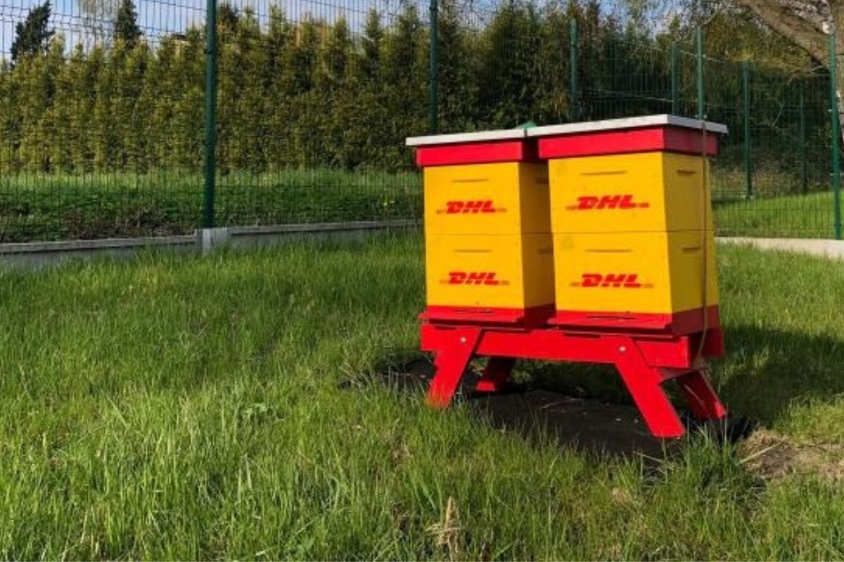DHL eCommerce Polska wspiera bioróżnorodność dzięki projektowi „PaczUle”