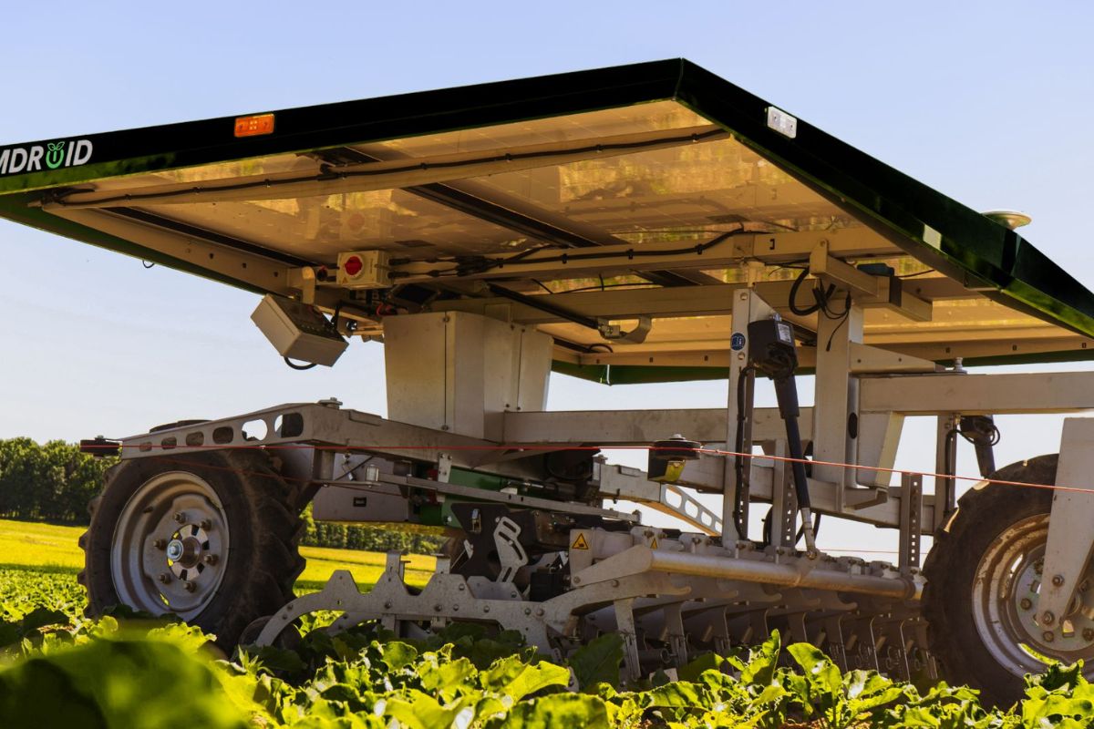 FarmDroid wyprodukował już 500 robotów polowych