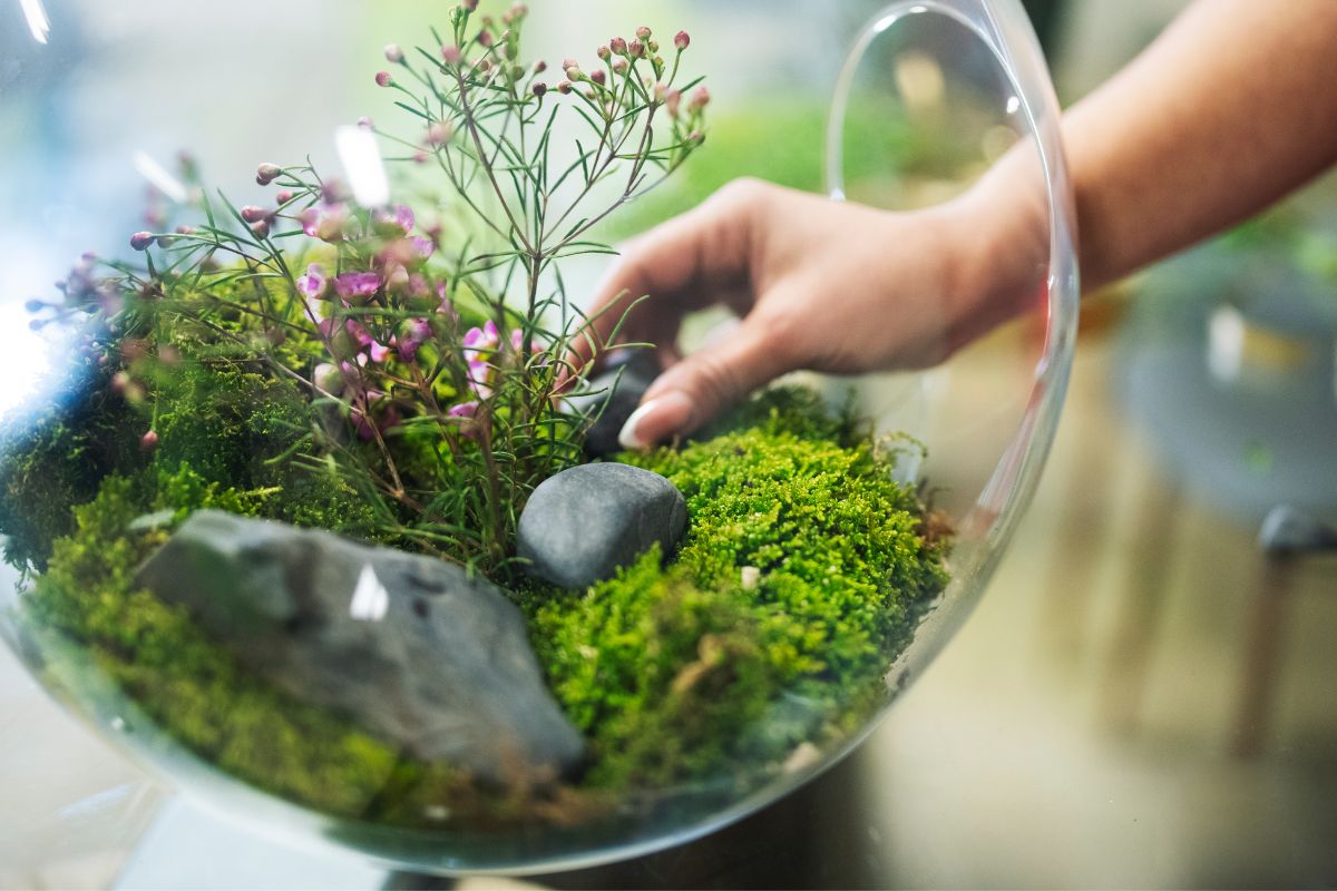 Ocieplenie się klimatu oznacza poważne zmiany leśnego ekosystemu