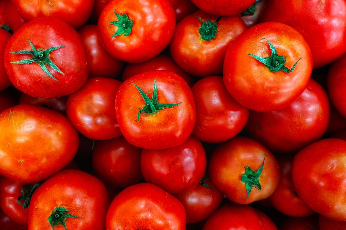 Nawet 2 miliardy pomidorów trafi do fabryki Kraft Heinz w Pudliszkach