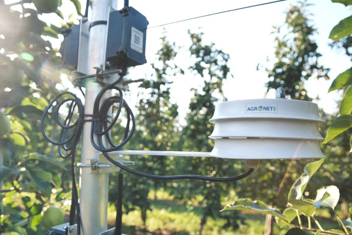 Innowacja w nowoczesnym rolnictwie: AgronetPRO i Greencloud