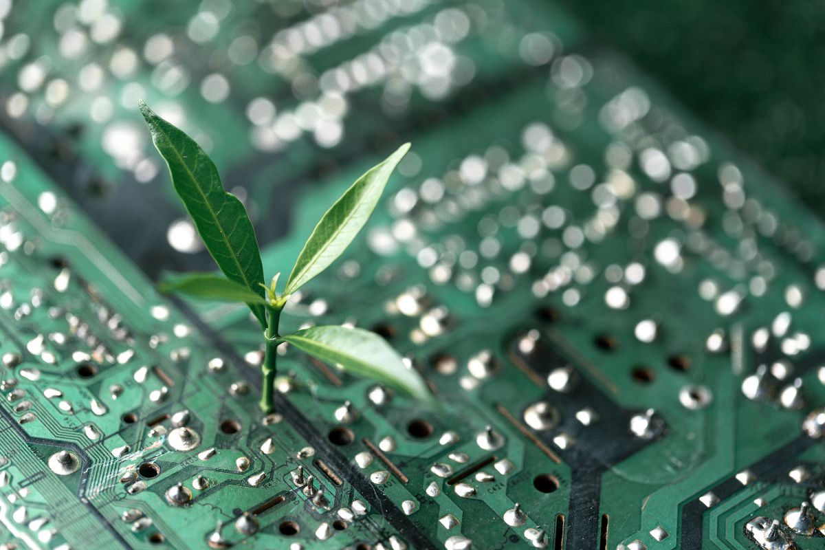 Raport „The Green Technology Sector in Poland”