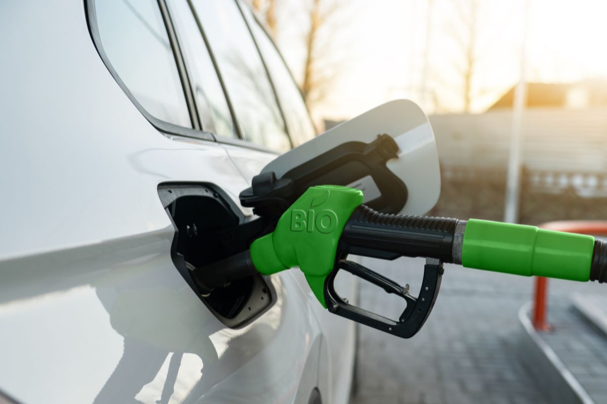 Współpraca resortu rolnictwa z Politechniką Warszawską ws. biopaliw
