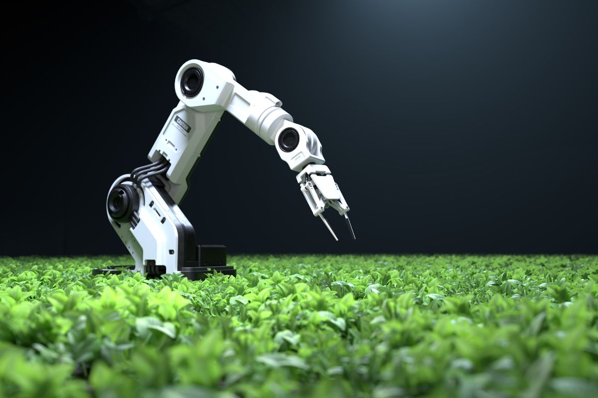 Czy roboty zdominują rolnictwo?