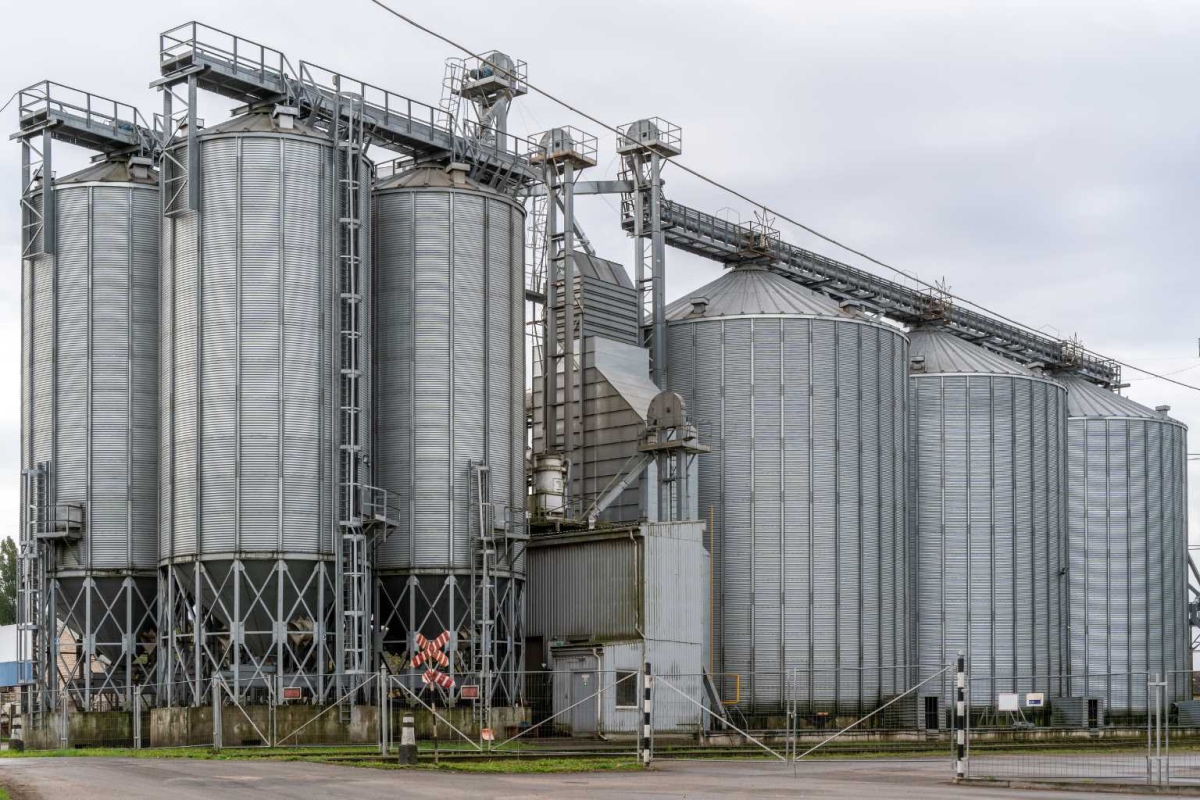 Top Farms planuje zainwestować ponad 121 milionów złotych na rozwój rolnictwa
