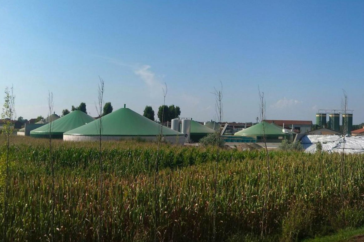 Czy biogaz rolniczy umożliwi transformację energetyczną wsi?
