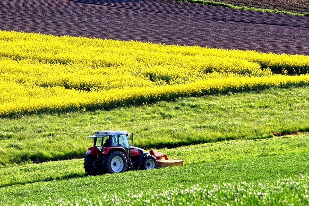 Rośnie presja konkurencyjna na unijne rolnictwo
