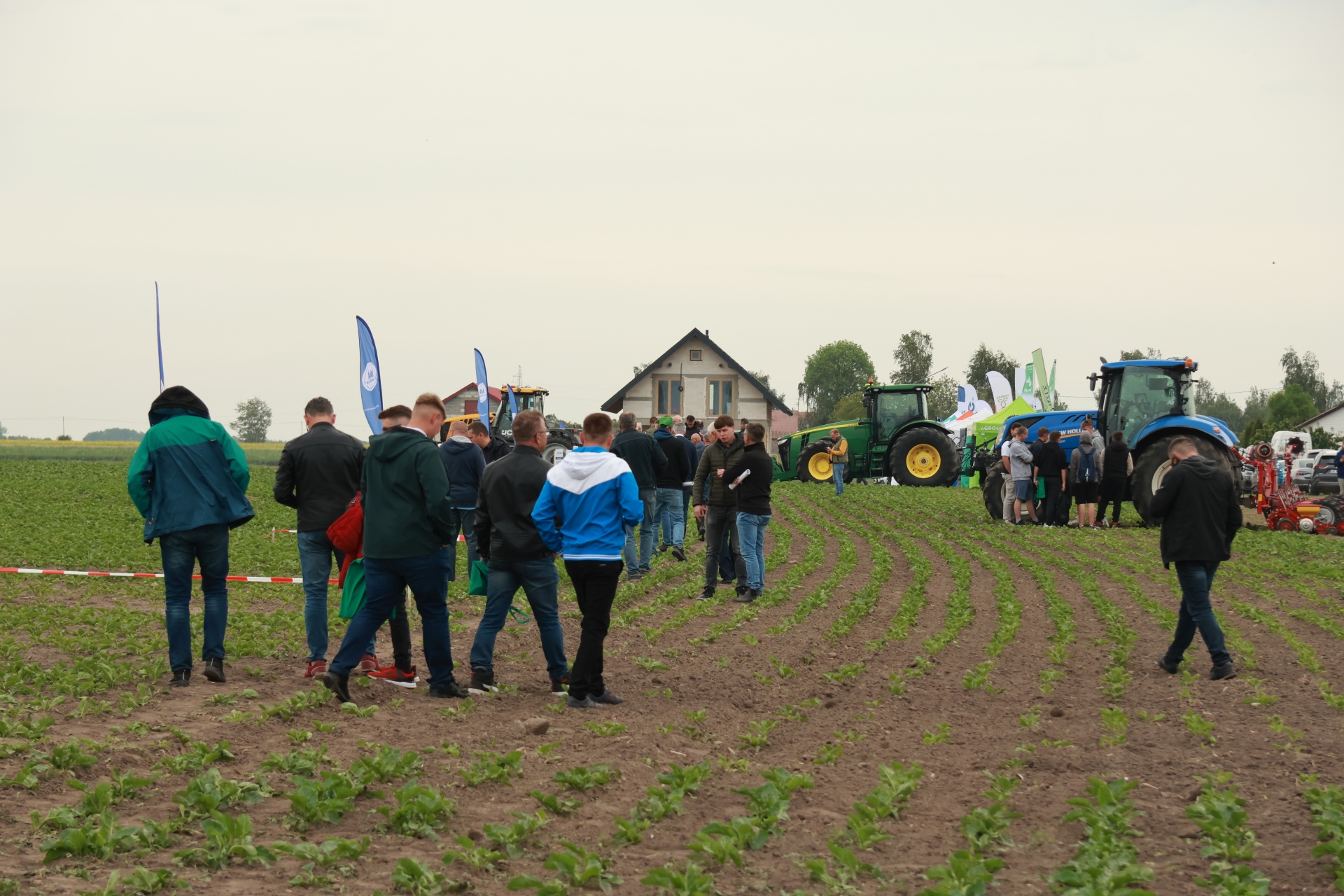 Warsztaty polowe z nowoczesnych rozwiązań w uprawie buraka cukrowego