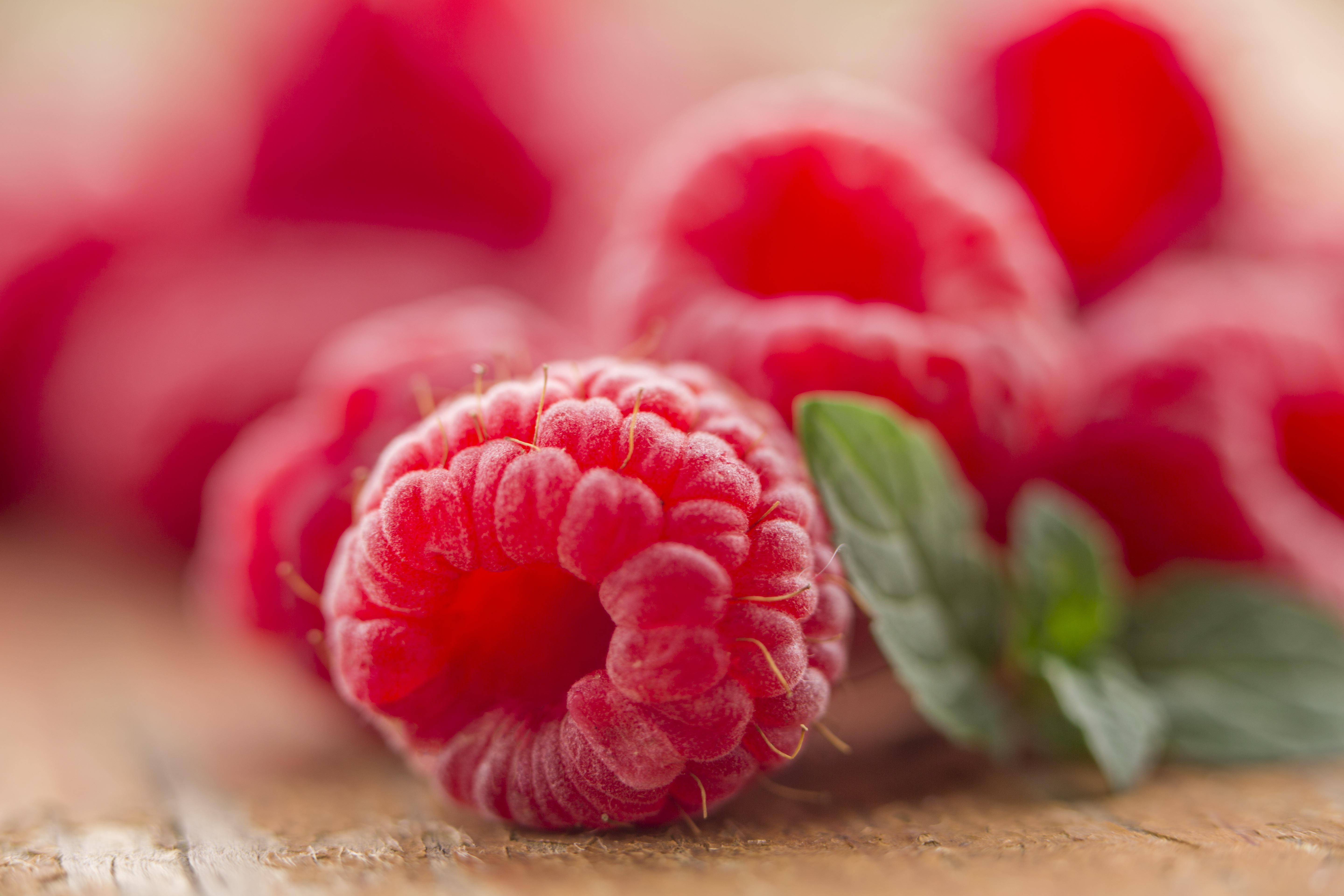 Pixabay \ pentrenz Maliny \ Pixabay \ pentrenz