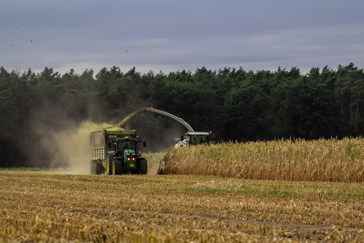 Dopłaty 2025: na kontach 9,74 mld zł