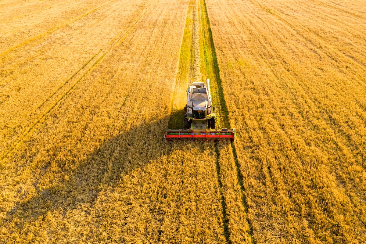 Rolnictwo w 2025: technologie, które zmieniają zasady gry