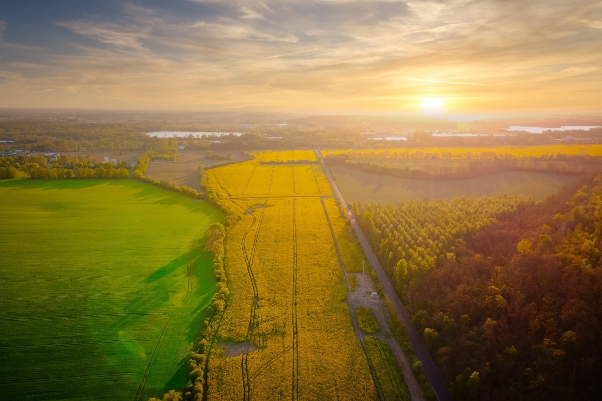 Dopłaty w ramach kampanii 2025 na kontach rolników