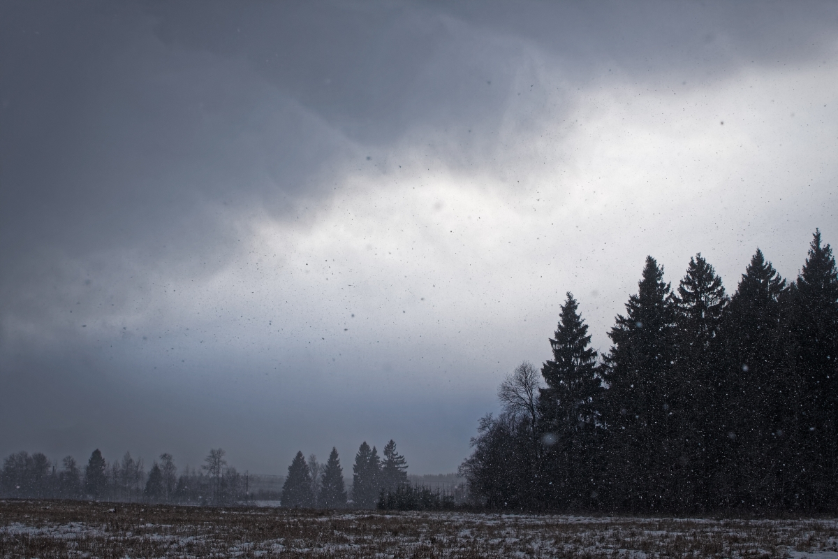 Klęskowe wsparcie dla rolników