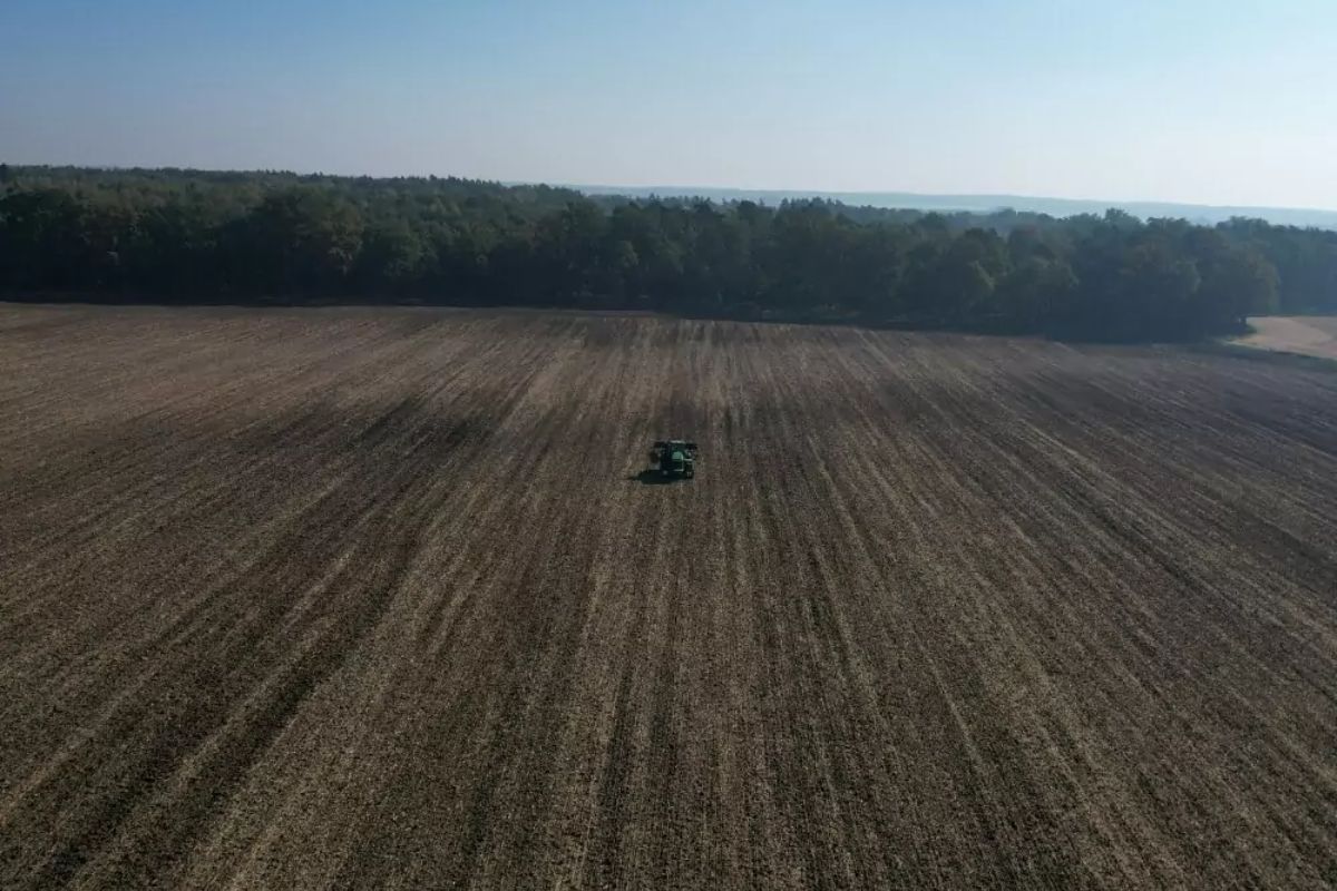 Najczęstsze błędy przy wapnowaniu gleby, które obniżają plony