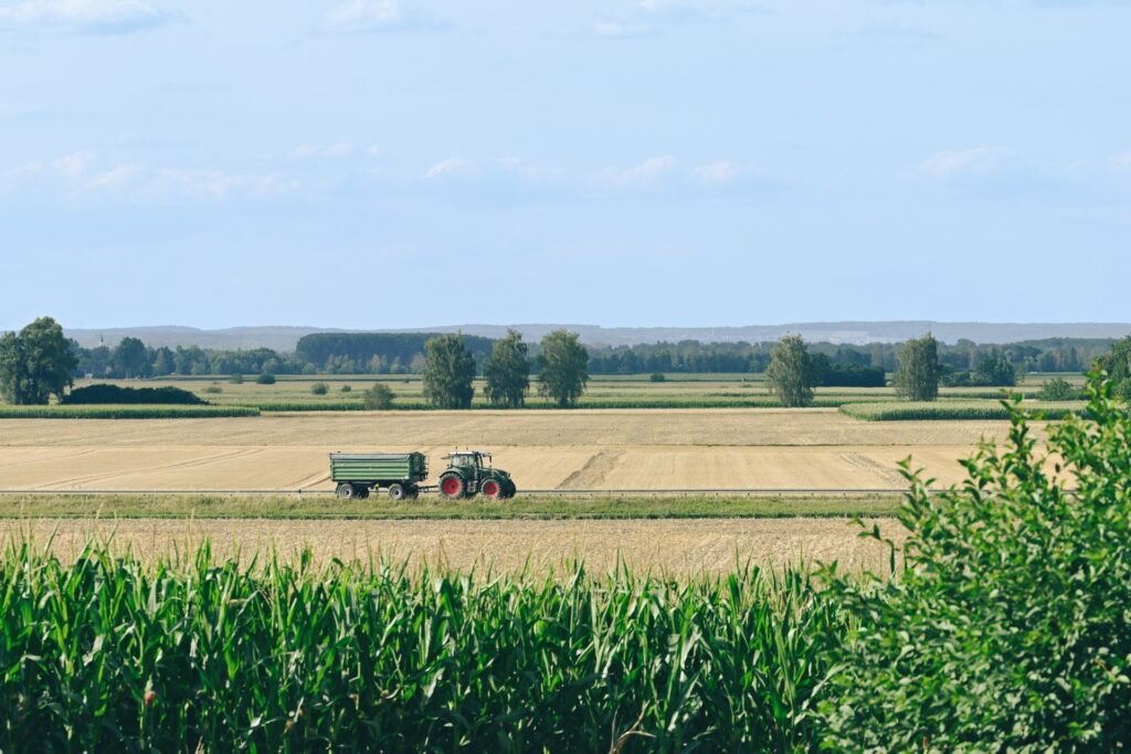 Rolnictwo w 2026 roku. Wstępny szacunek zbiorów wskazuje na spadki w większości upraw