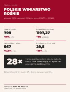 Europa redukuje areał winnic, Polska rozwija nowy sektor.